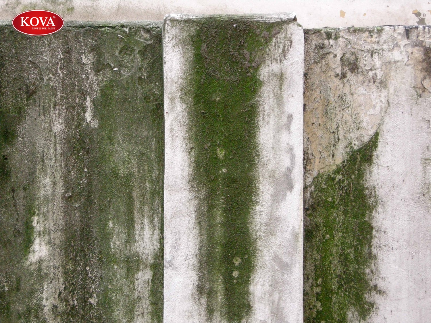 chống thấm tường